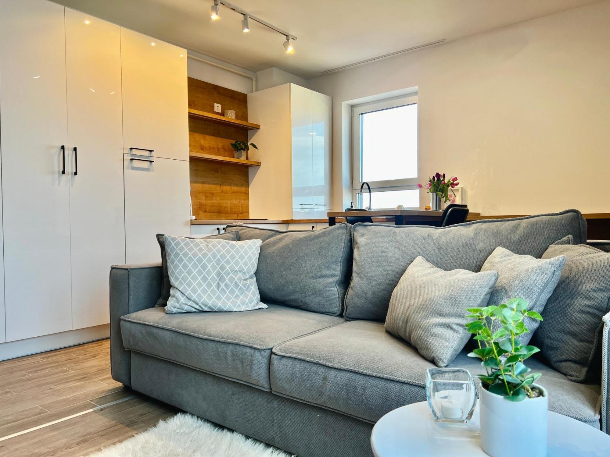 Blue Boho Studios And Apartments ブラショフ エクステリア 写真